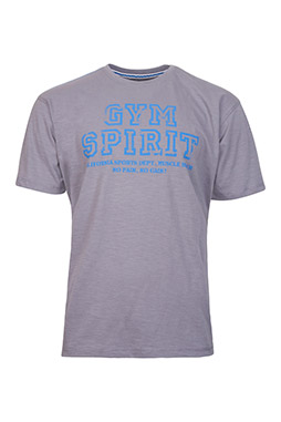 Sport, Camisetas M. Corta, 109108, GRIS MEDIO