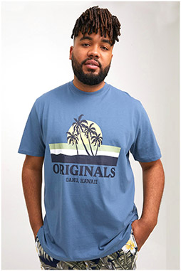 Sport, Camisetas M. Corta, 111241, INDIGO
