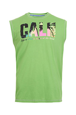 Sport, Camisetas M. Corta, 109149, VERDE