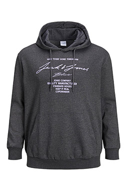 Sport, Chaquetas y Sudaderas, 110411, ANTRACITA