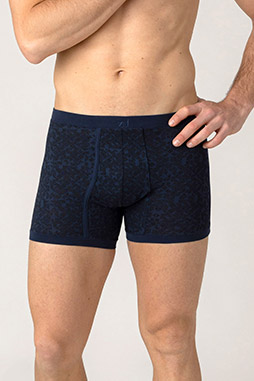 Interior, Boxers, 112412, INDIGO