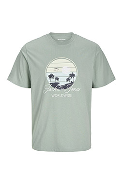 Sport, Camisetas M. Corta, 112777, VERDE