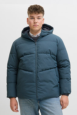 Abrigo, Chaquetones y Piel, 113049, NOCHE