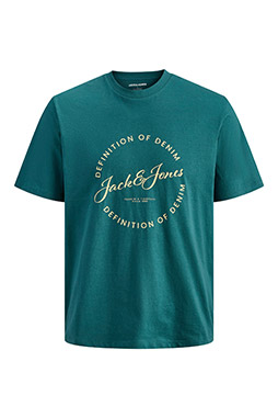 Sport, Camisetas M. Corta, 113064, TURQUESA