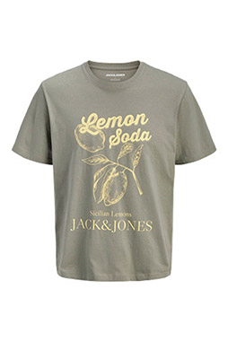 Sport, Camisetas M. Corta, 113120, BEIGE