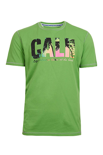Sport, Camisetas M. Corta, 109105, VERDE