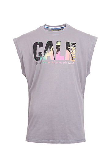 Sport, Camisetas M. Corta, 109149, GRIS MEDIO