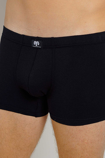 Interior, Boxers, 112494, NEGRO