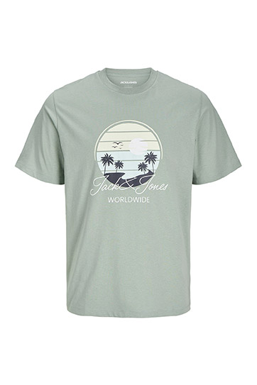 Sport, Camisetas M. Corta, 112777, VERDE