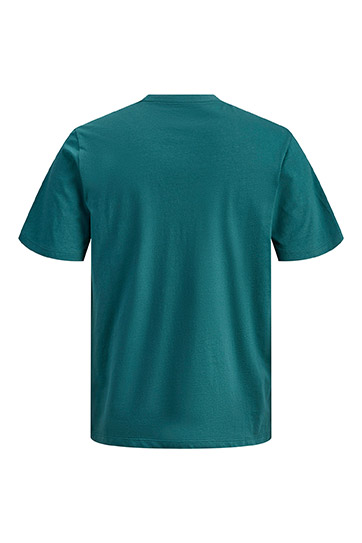 Sport, Camisetas M. Corta, 113064, TURQUESA